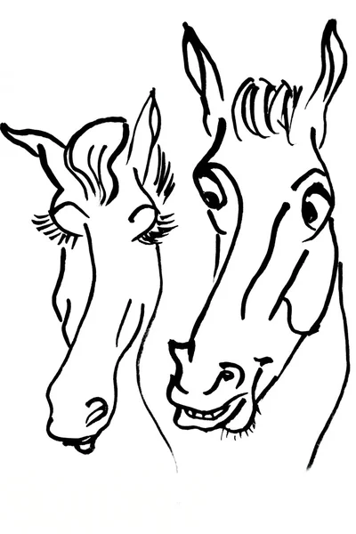 Pferdeliebe — Stockfoto