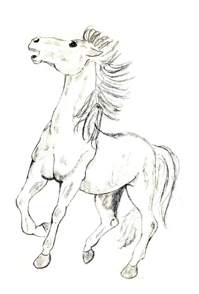 Wild Mustang — Stock Photo, Image