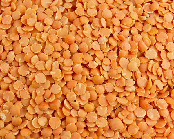 橙色小扁豆 — 图库照片