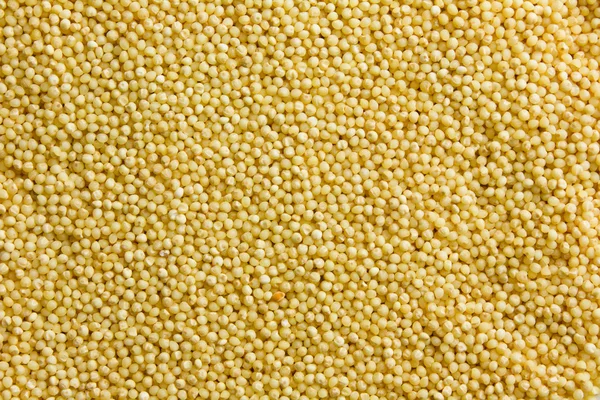 stock image Dry Uncooked Millet Texture, Background