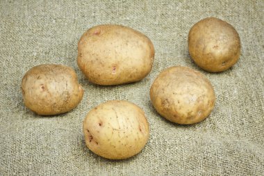 taze patates