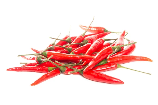 Schoten scharfer roter Paprika auf weißem Hintergrund — Stockfoto