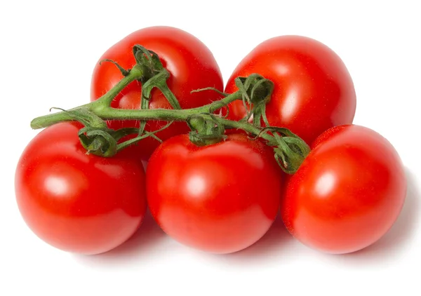Tomates rojos —  Fotos de Stock