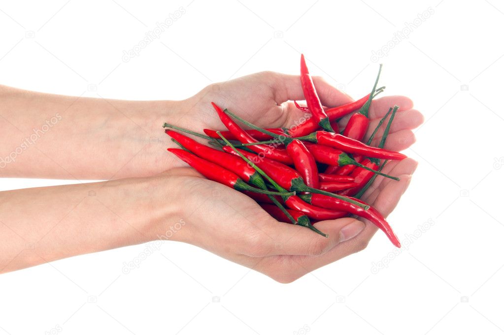 Pods of hot red pepper on a white background