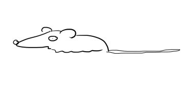 Drawing of rat on the white clipart