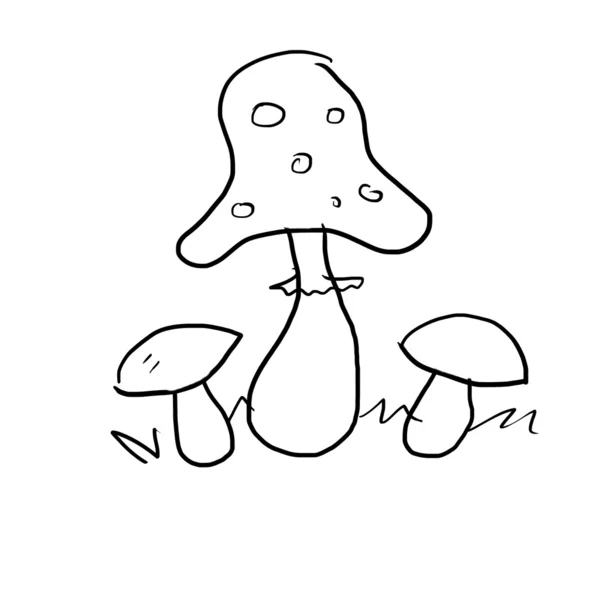 在白色的蘑菇绘图 — 图库照片