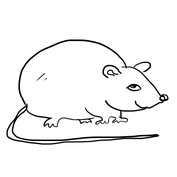 Desenho de rato no branco — Fotografia de Stock