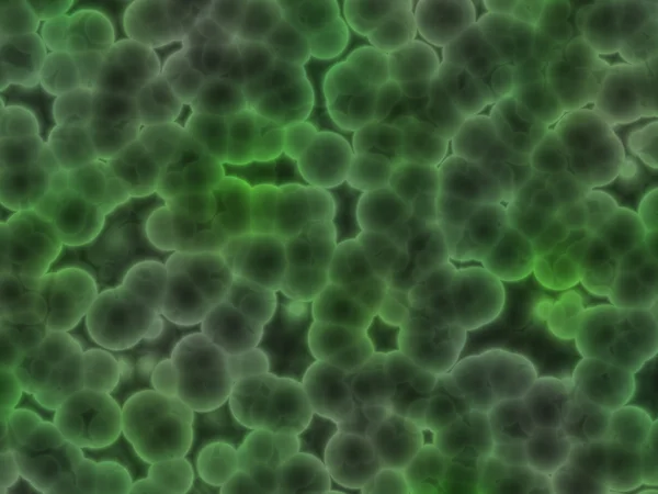 Bacteria — Stock Photo, Image