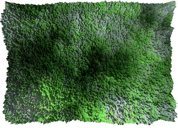 हिरवा गवत — स्टॉक फोटो, इमेज