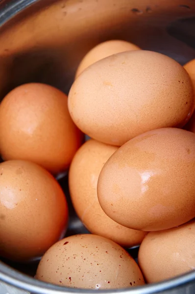 Bruin eieren in een pan — Stockfoto
