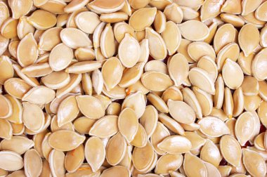 Pumpkin seeds close up clipart