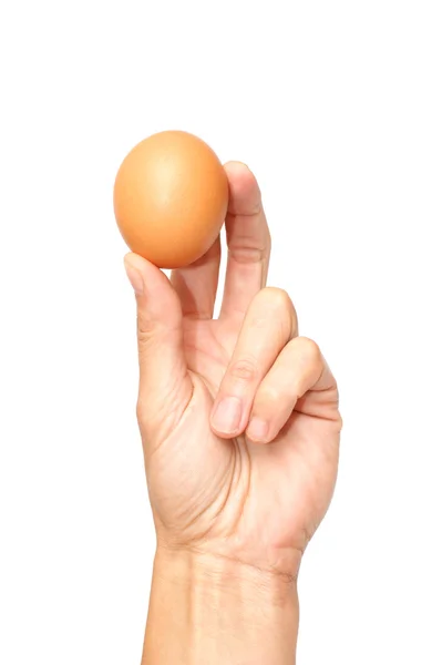 Ei in een hand — Stockfoto