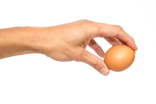 Яйцо в руке — стоковое фото