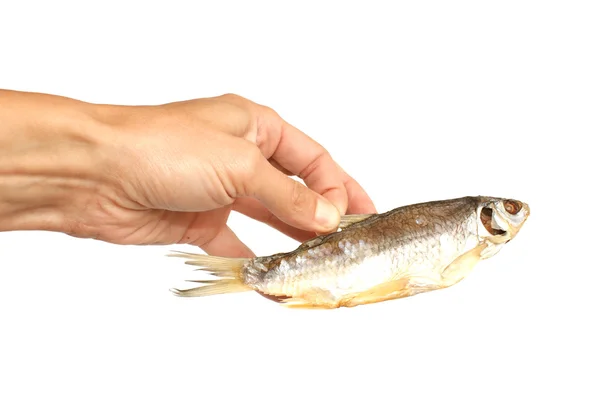 Gedroogde vis in een hand — Stockfoto