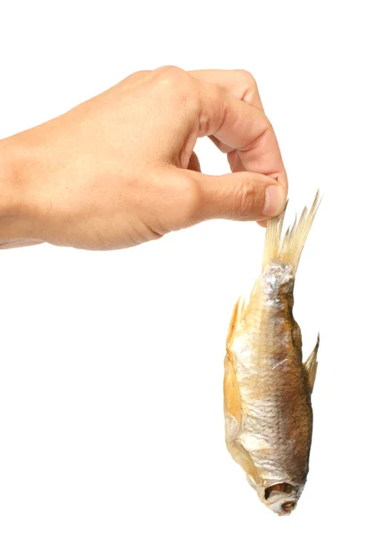 stock image Dried fish in a hand