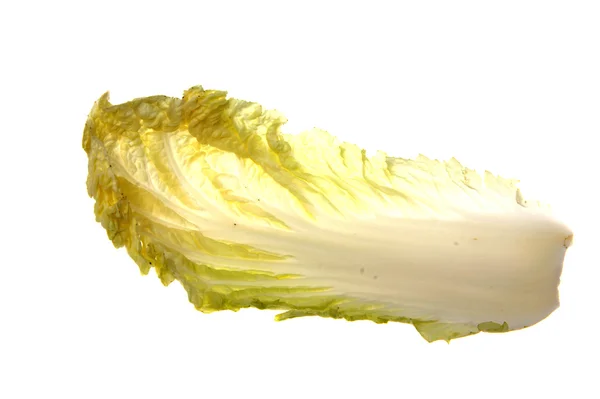 Китайский лист капусты на белом фоне — стоковое фото