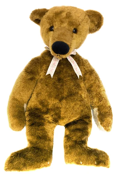 Медведь Тедди на изолированном белом крупным планом Стоковое Фото