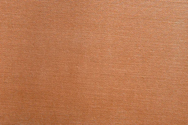Foto de una piel marrón vieja natural con la factura en relieve — Foto de Stock