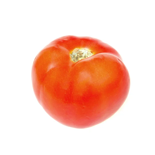 Rote Tomate auf weißer Nahaufnahme — Stockfoto