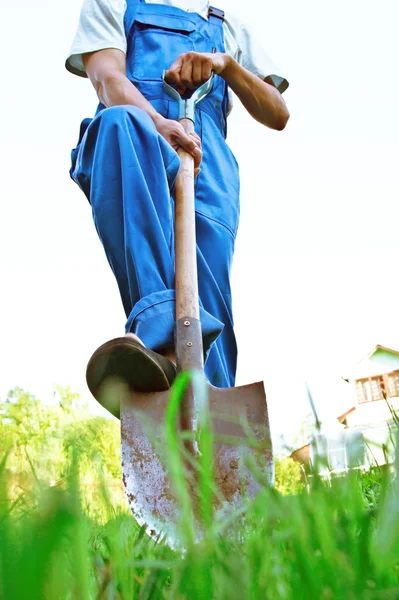 Der Mann in dunkelblauen Overalls gräbt mit einer Schaufel einen Boden — Stockfoto