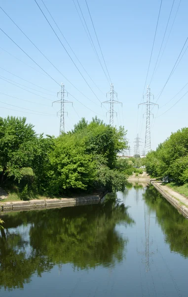 stock image Tree along a canal