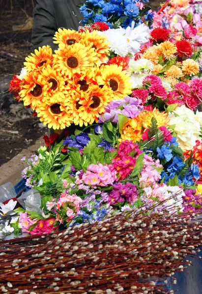 Verschillende kleur bloemen — Stockfoto