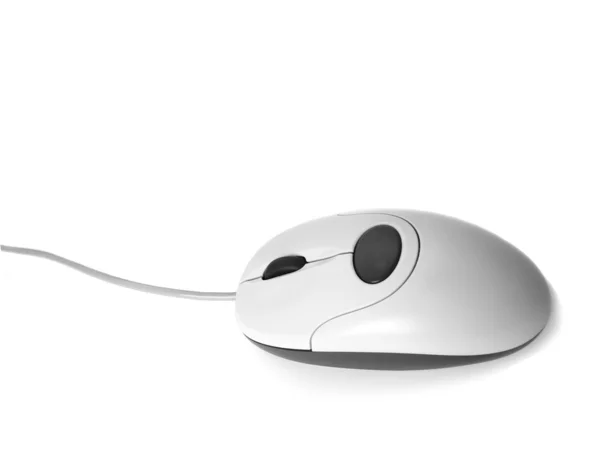 Il mouse del computer bianco isolato sul bianco — Foto Stock