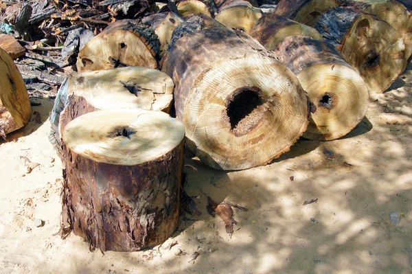 Wood logs — Stock Photo, Image