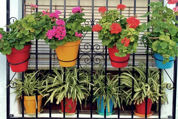 Stock image Colored pots