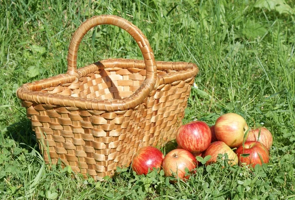 苹果与木篮在草丛中 — 图库照片