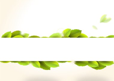 yeşil yaprakları ile banner