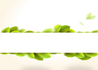 Banner with green leaves clipart