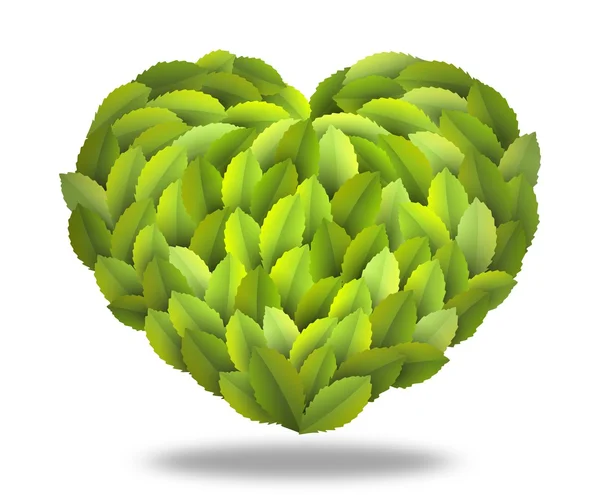 Green heart isolated — Stock Photo, Image