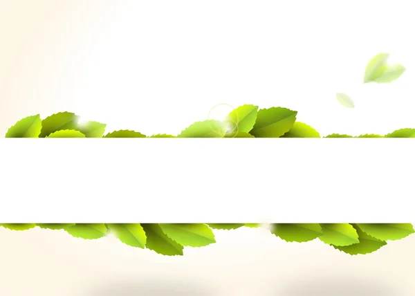 Yeşil yaprakları ile banner — Stok fotoğraf