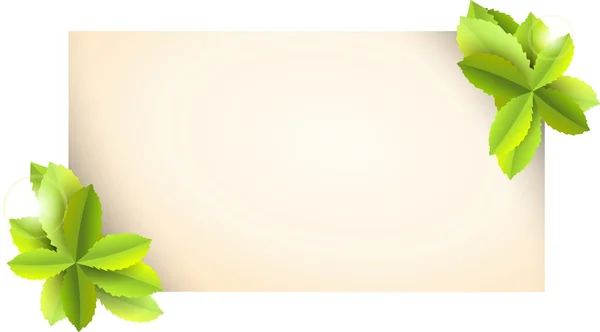 Card with green leaves — Stock Photo, Image