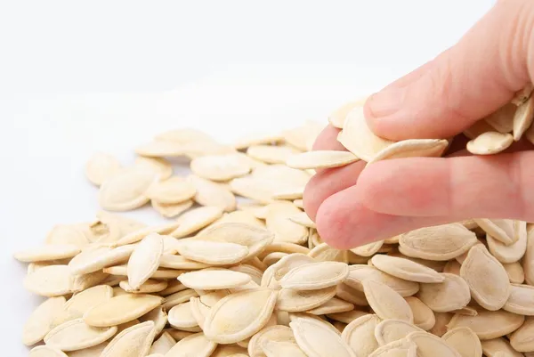 stock image Pumpkin seeds in hand on white background