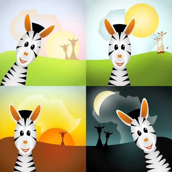 สี่ zebras ในเวลากลางวันต่าง ๆ — ภาพถ่ายสต็อก