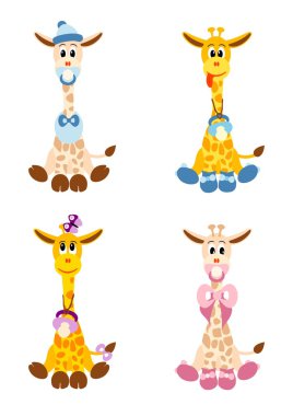 Yeni doğan bebekler gibi dört küçük zürafalar