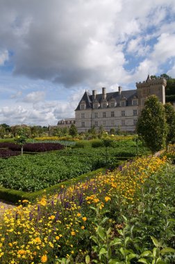 nubes y Castillo de villandry loira con flores amarillas