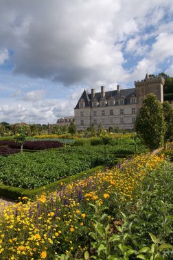 CASTLE and clouds villandry loira with yellow flowers clipart