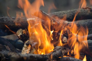 Wood on fire. clipart