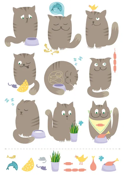 猫与食品 图库插图
