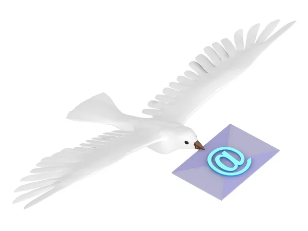 Witte homing pigeon met letter — Stockfoto
