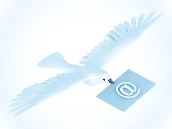 Белый почтовый голубь с буквой — стоковое фото