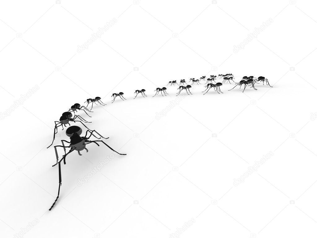Group of insects, ants, in a line on the floor