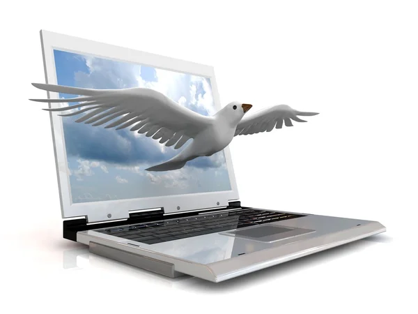 Piccione domestico bianco che vola fuori dal monitor del computer portatile . — Foto Stock