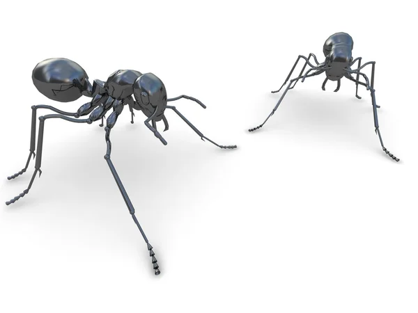 Два муравья . — стоковое фото