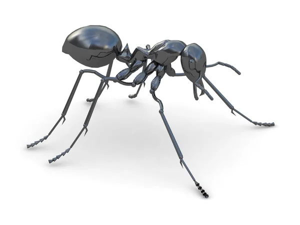 검은 개미 — 스톡 사진