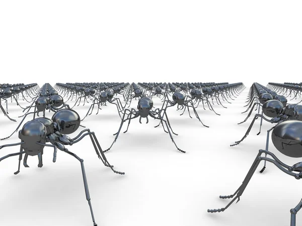 Армия насекомых, муравьев, в ряд на полу, на белом изолированном фоне — стоковое фото