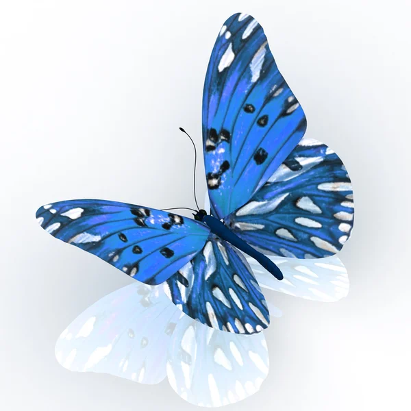 Farfalla. — Foto Stock